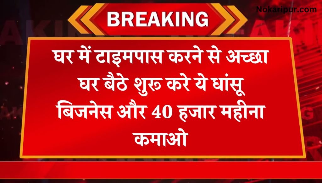 Business Ideas: घर में टाइमपास करने से अच्छा घर बैठे शुरू करे ये धांसू बिजनेस और 40 हजार महीना कमाओ