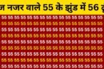 Brain Test Image: बाज जैसी तेज नजर वाले सिर्फ 6 सेकंड में 55 की भीड़ 56 नंबर ढूंढे, बड़े बड़े सुरमा हुए फ़ैल